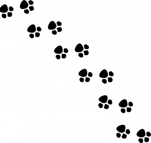 Animal Footsteps Silhouette