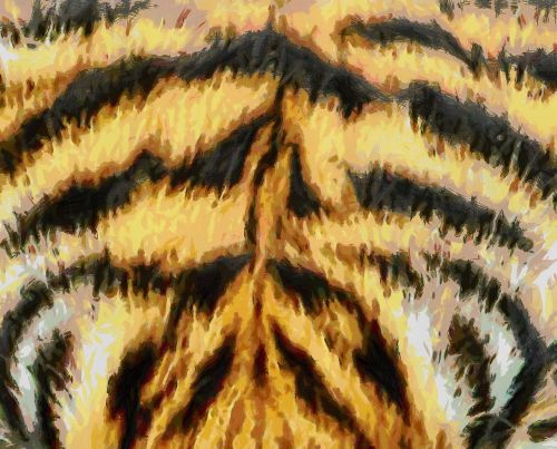 animal fur texture tiger
