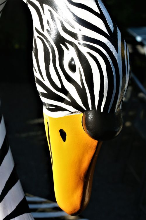 animal head swan zebra