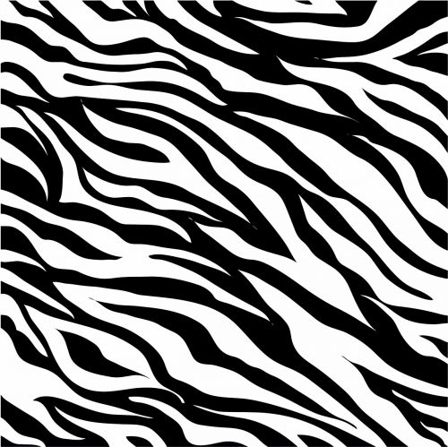 animal print black and white black