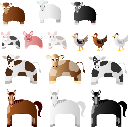 animals chicken cow