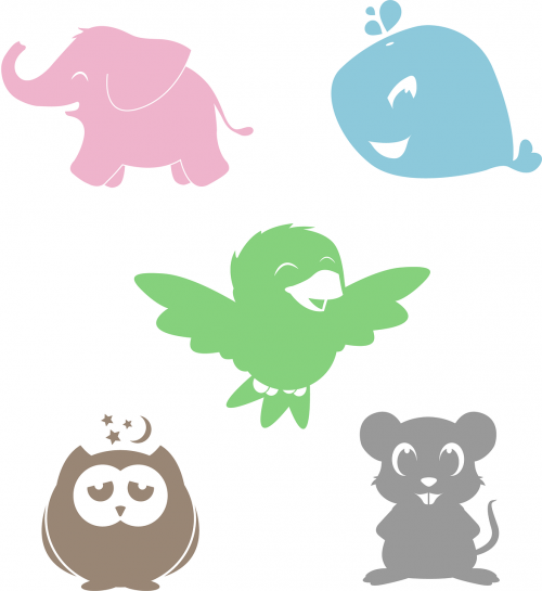 animals baby color