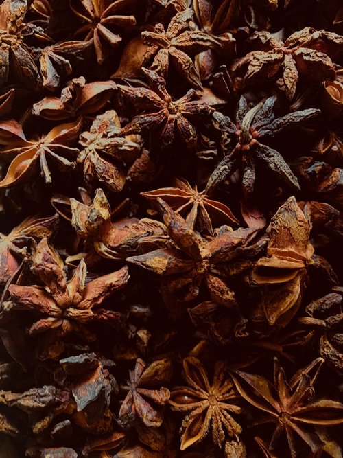 anise  starry  spices