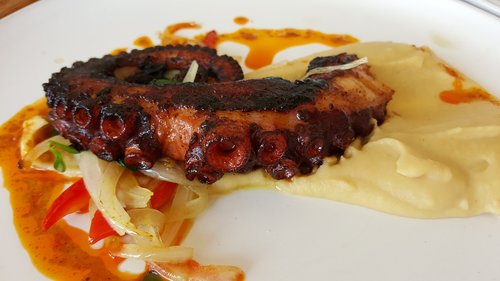 anna norman  octopus  grilled
