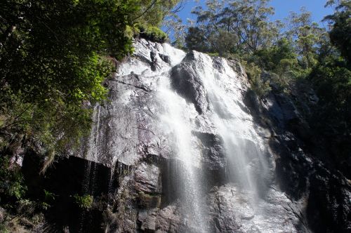 another waterfall springbrook national park queensland australia