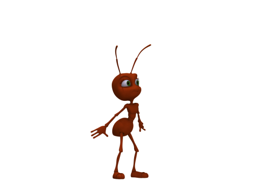 ant insect red ant