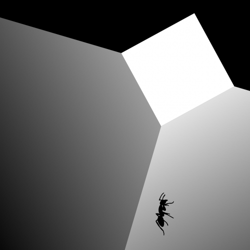 ant box daily clipart