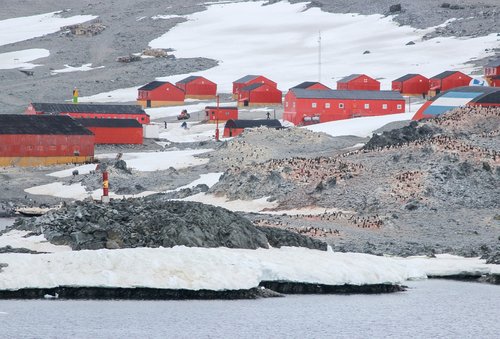 antarctica  research station  penguins
