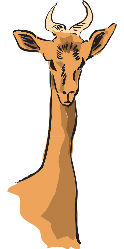 antelope neck necked