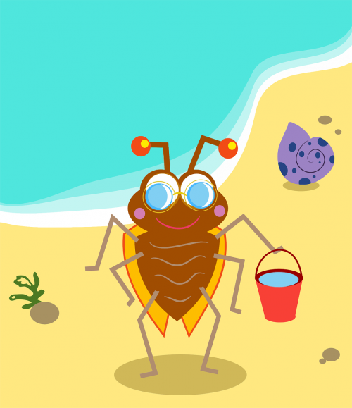 anthropomorphic beach bug
