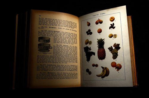 antiquariat antiquarian cookbook antique cookbook