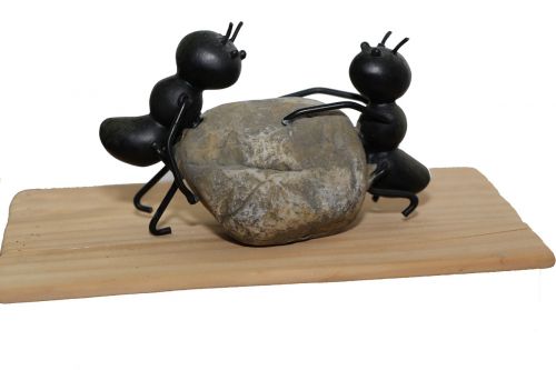 ants strong stone