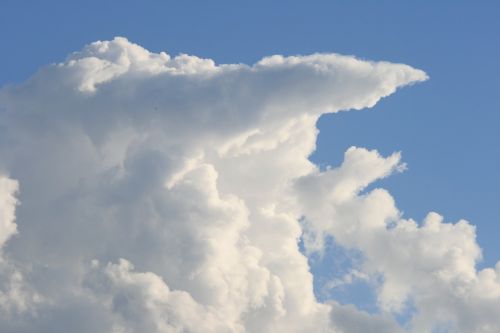 anvil cloud cloud large