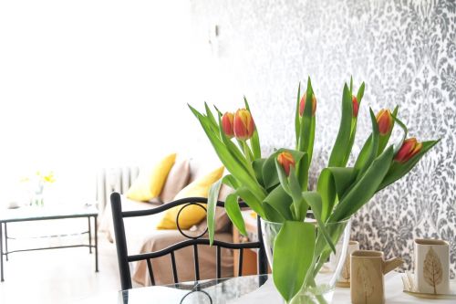 apartment flowers tulips