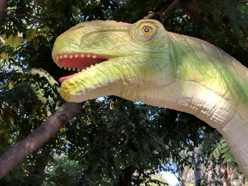 Apatosaurus Dinosaur