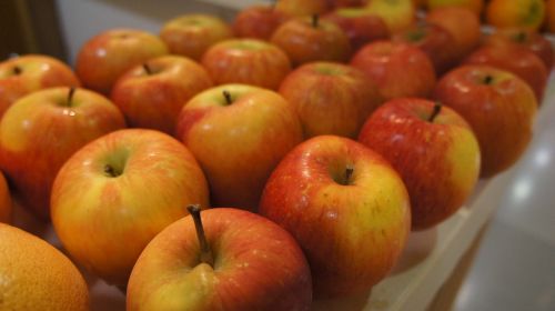 apel apple fruit fresh