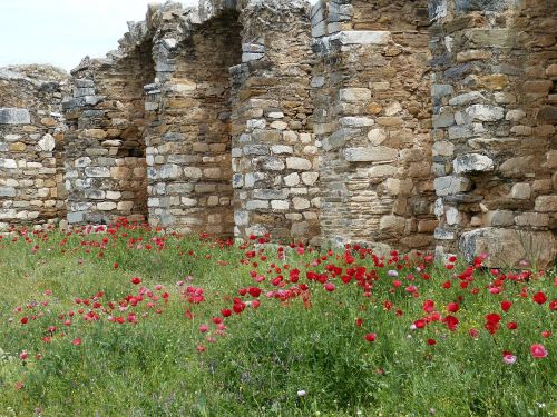 aphrodisias antique antiquity