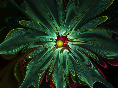 apophysis fractal flower