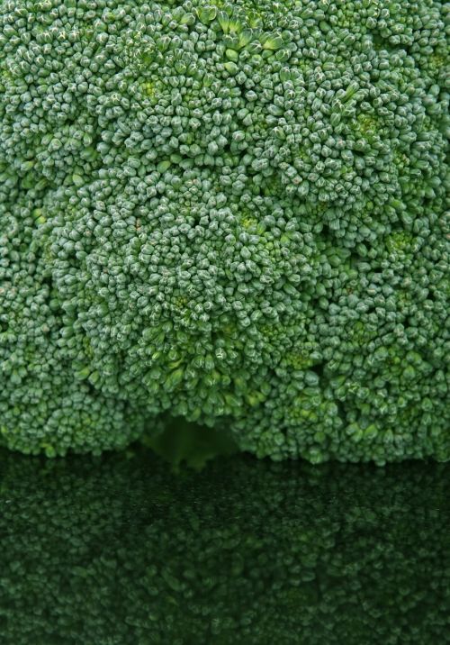 appetite broccoli brocoli broccolli