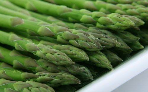 appetite asparagus calories