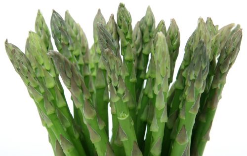 appetite asparagus calories