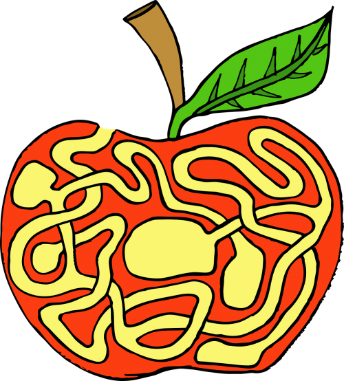 apple fruit labyrinth