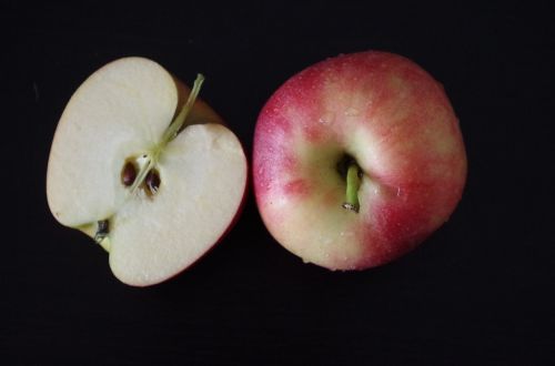 apple fruit health