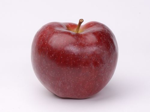 apple fruit nutrition