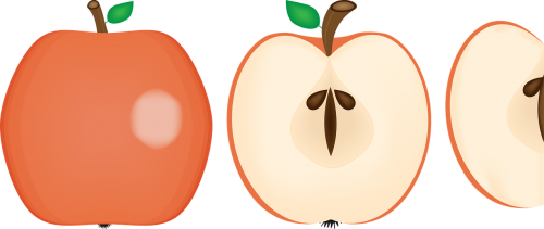 apple fruit food