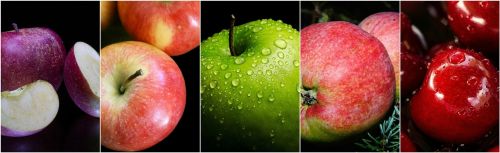 apple fruits apples