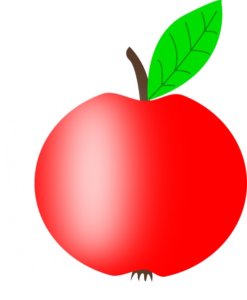 apple red fruit