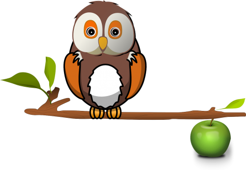 apple branch owl