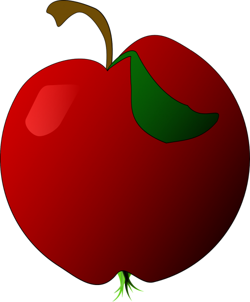 apple fruit red