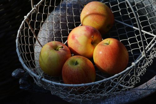 apple basket fruit basket