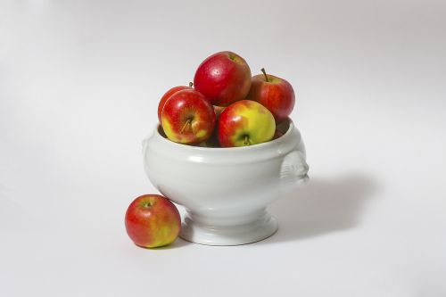 apple elstar fruit