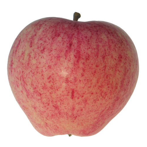 apple red taustaton