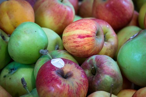 apple fruit thanksgiving