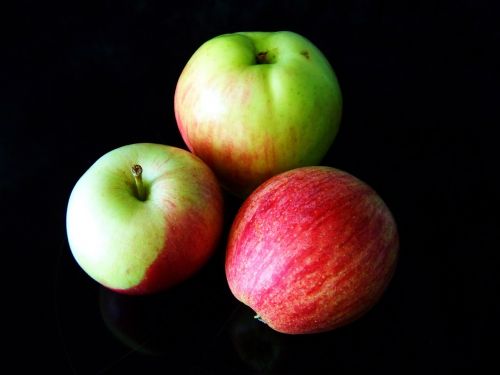apple fruit red-green apple
