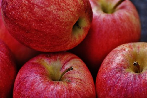 apple red delicious