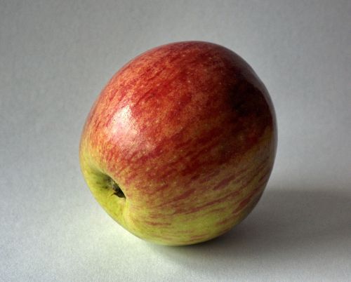 apple fruit fall color