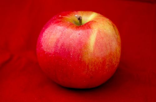 apple fruit health