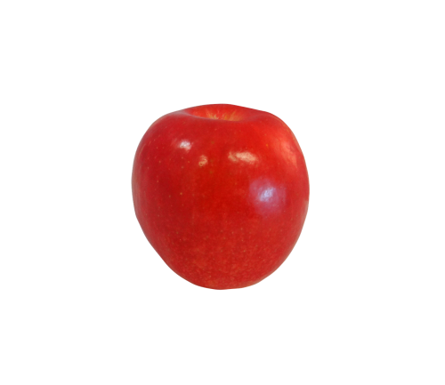 apple fuji fruit