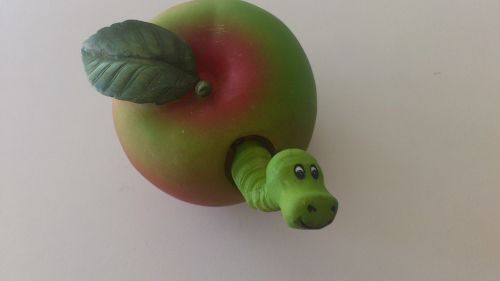 apple worm holzapfel