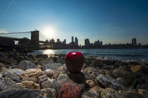 apple new york new york city