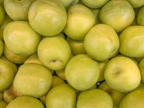 apple green plants