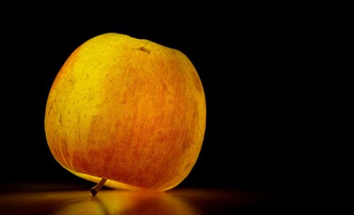 apple adams enlightenment fruit