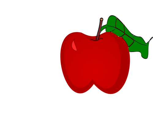 apple ripe fruit