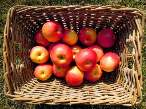 apple fruit basket