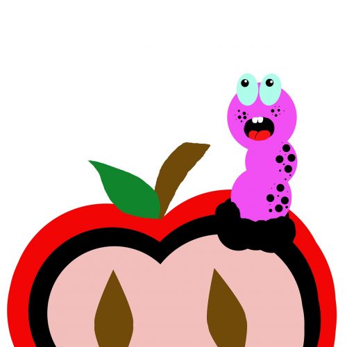apple worm picture