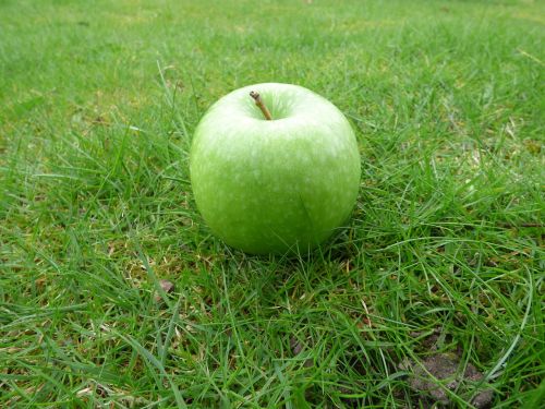 apple grass green